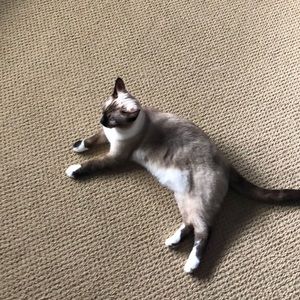 Meet your Posher, Edward